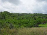 Meribah Bramwell St Elizabeth, St. Elizabeth, Jamaica - Commercial/farm land for Sale